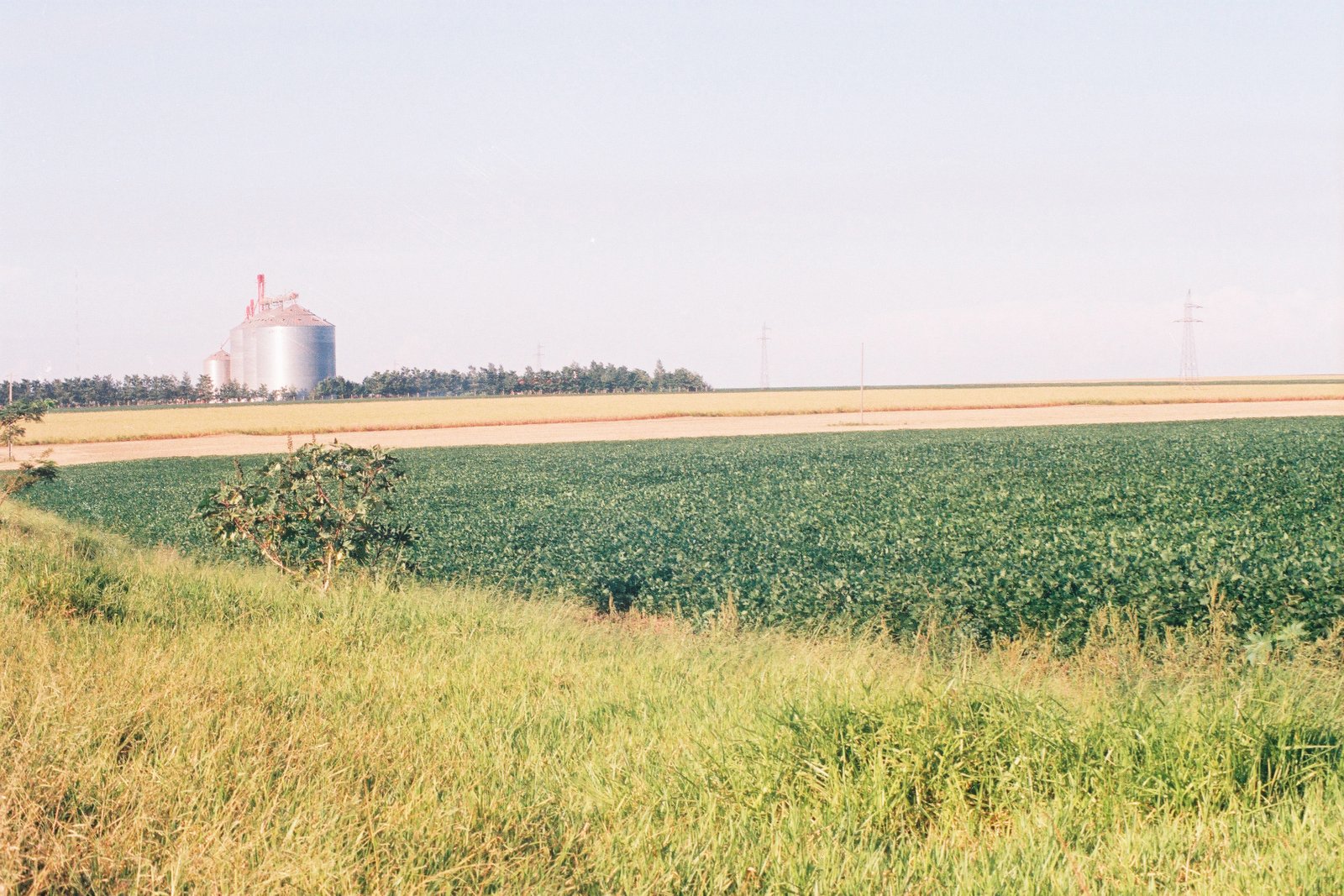 Campo de soja con silos de acopio en Paraguay